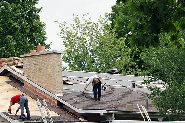 Professional Roofing Contractor in Gardnerville, NV